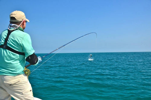 Mini Pesca