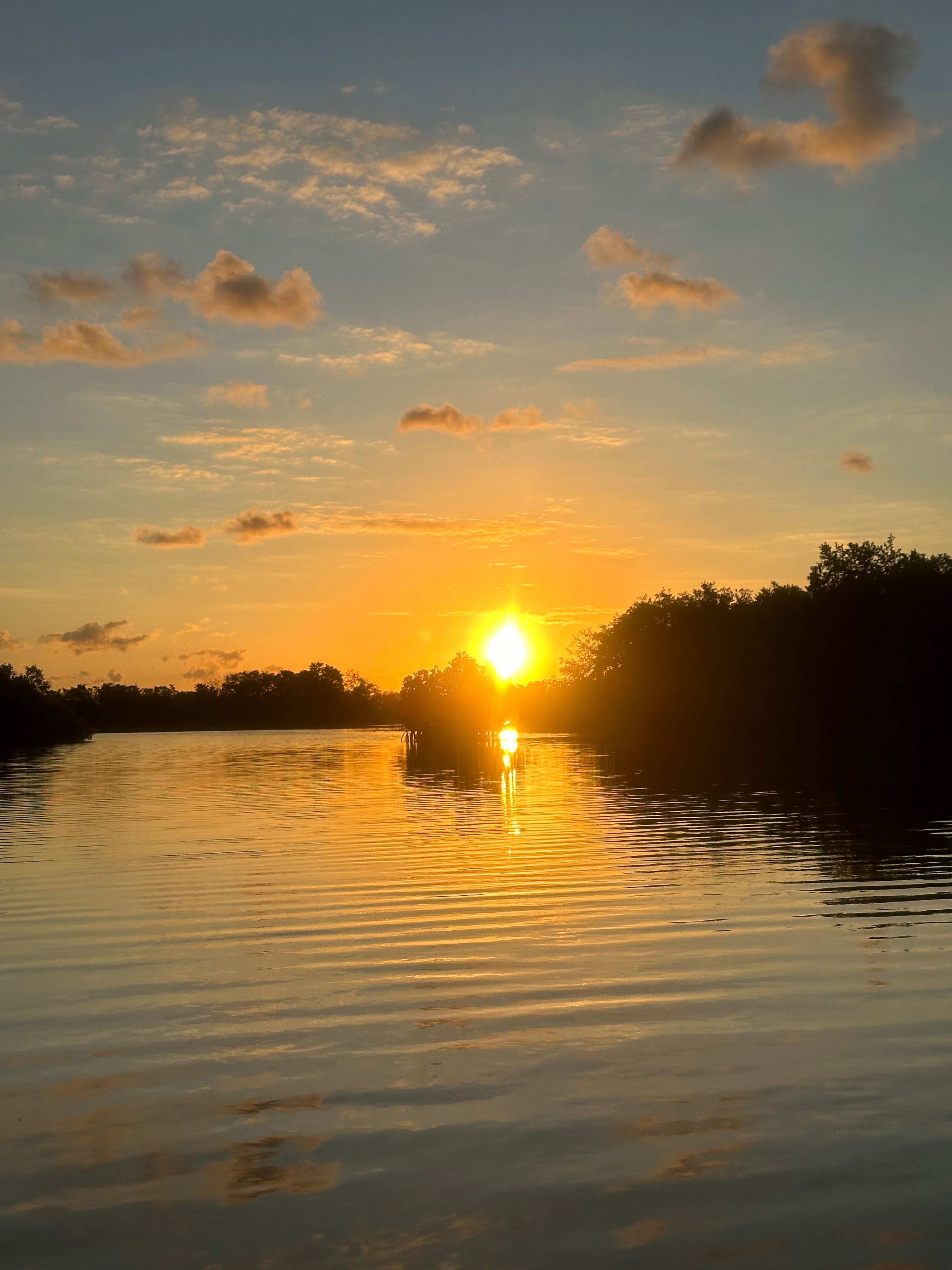 Explorando los Manglares: Excursión en Kayak