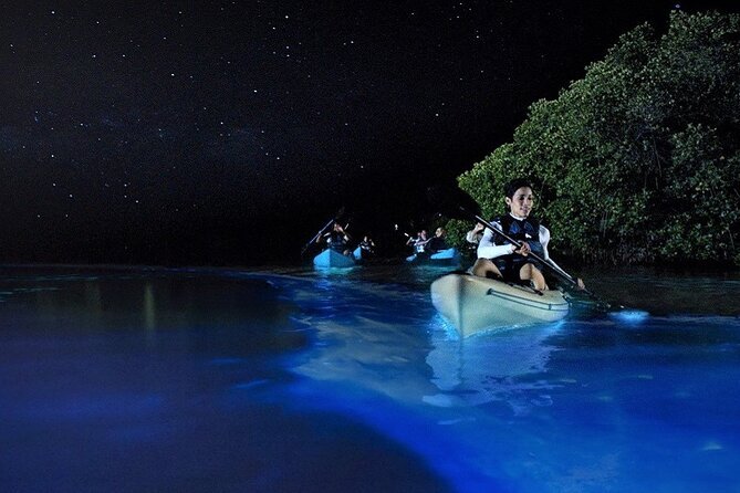 Bioluminiscencia en Kayak - Gama Extreme Tours