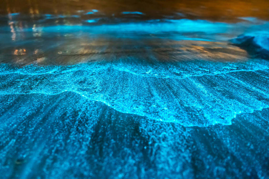 Bioluminiscencia en Kayak