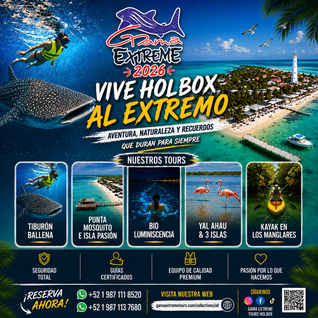 Tour Tiburón Ballena - Gama Extreme Tours